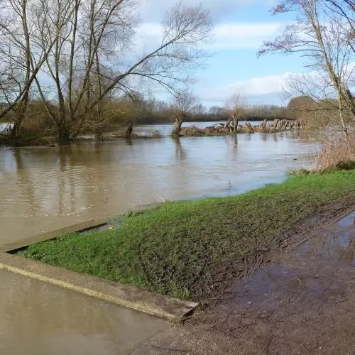 medley thames at four streams