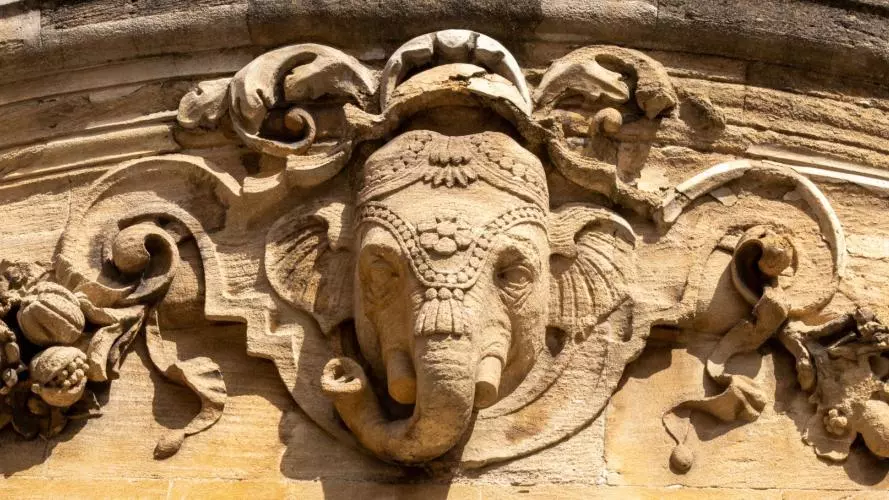 Indian Institute Elephant
