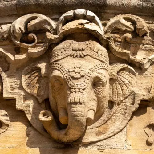 Indian Institute Elephant