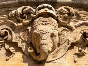 Indian Institute Elephant