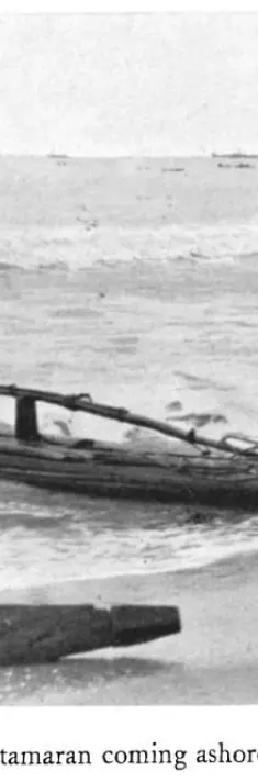 hornell fishing catamaran